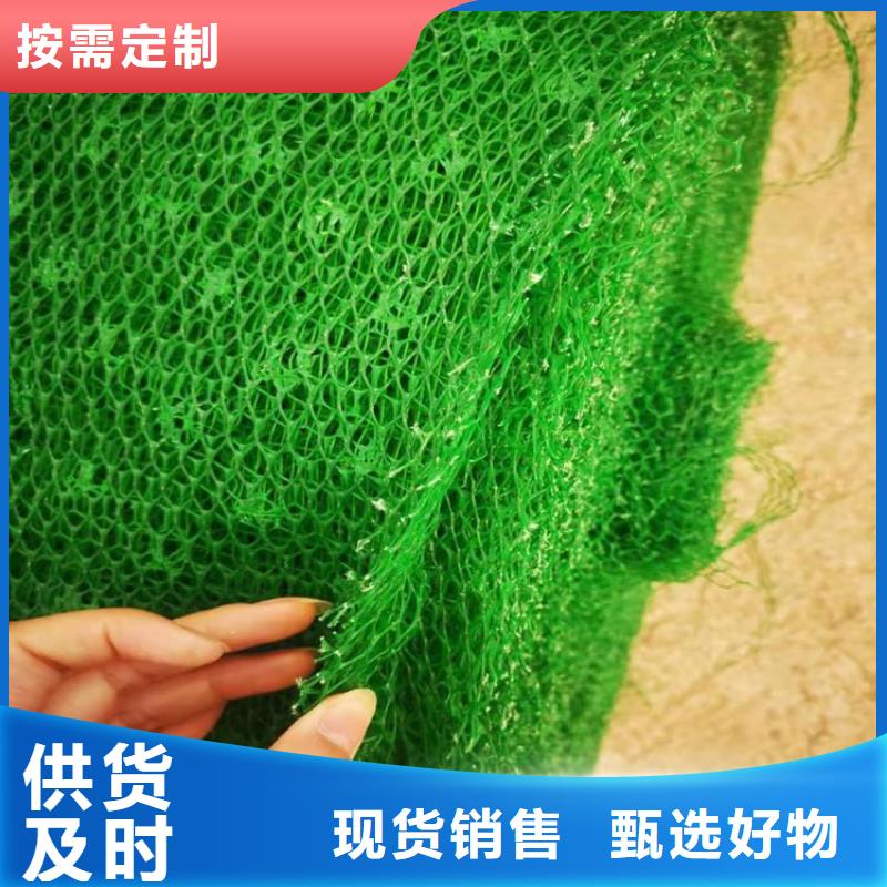 EM2三维植被网-绿色三维土工网垫