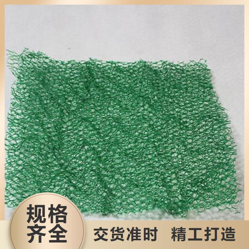 三维植被网塑料土工格栅有口皆碑