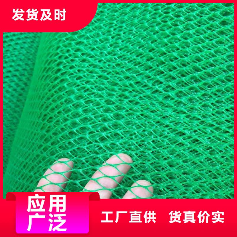 三维植被网【防渗膜】货到付款-服务范围包括伊犁|克拉玛依|乌鲁木齐等