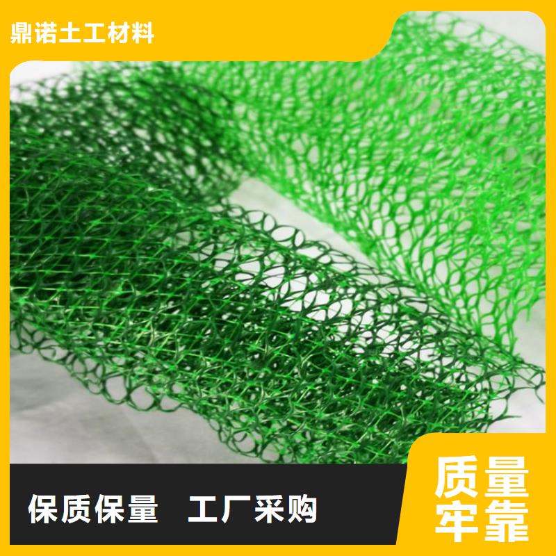 【三维植被网_土工格栅快速发货】