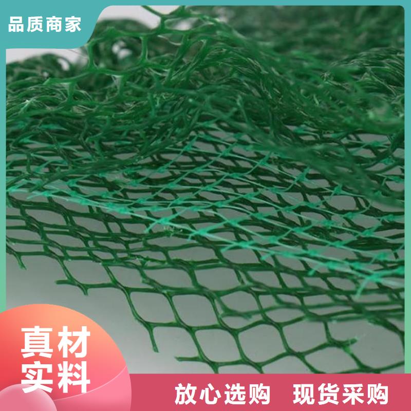 三维固土网垫三维土工网垫