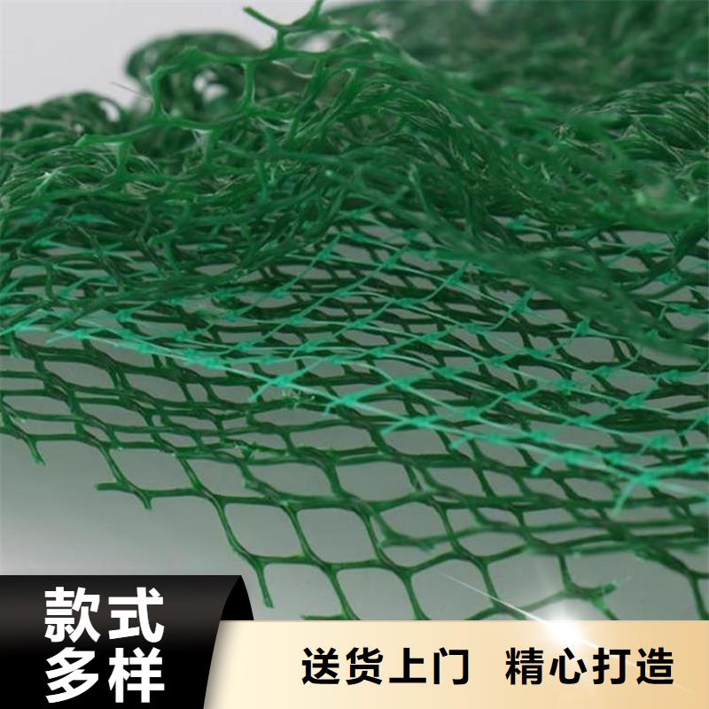 三维土工网垫规格型号