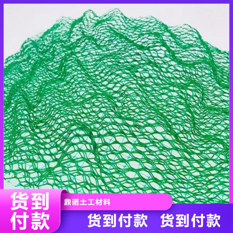 三维植被网双向塑料土工格栅实力商家供货稳定