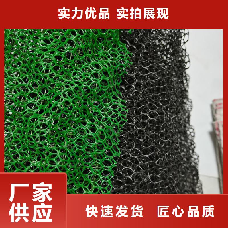 三维植被网,双向土工格栅品质过硬