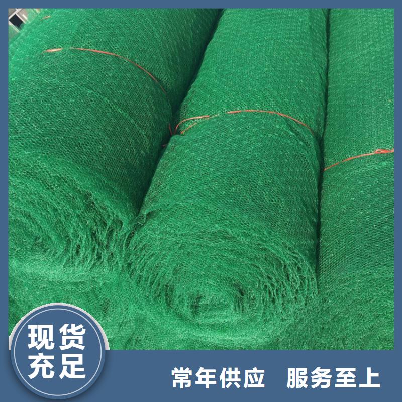 三维植被网-EM4三维固土网垫
