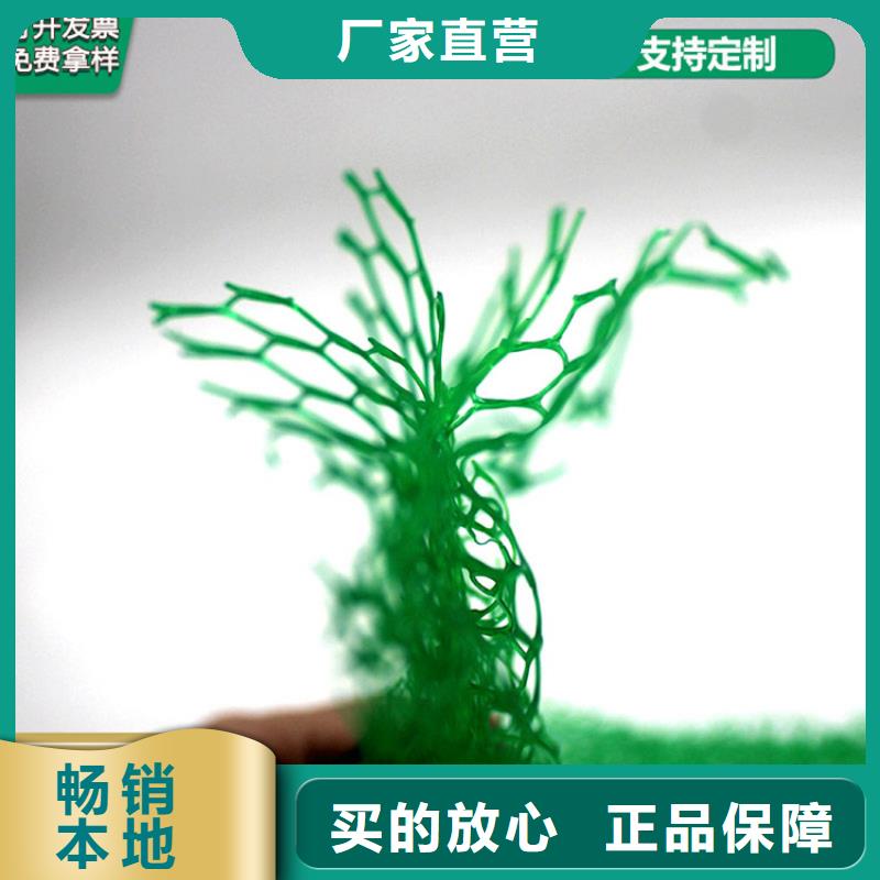 三维植被网土工膜厂家货源稳定