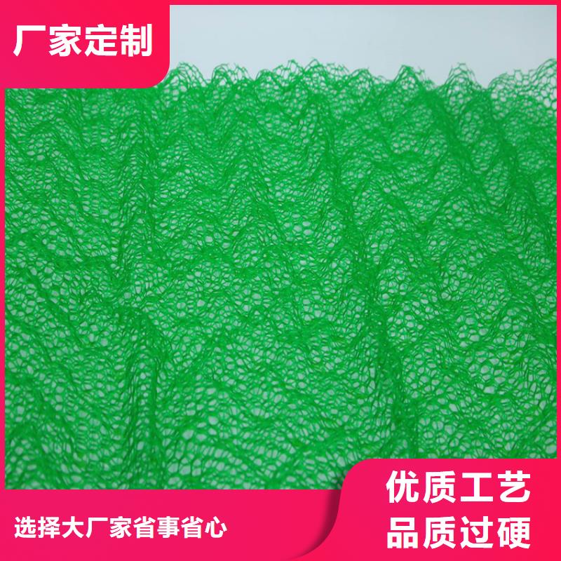 EM3三维土工网垫-绿色三维植被网