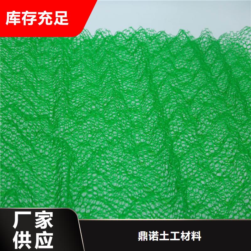 三维土工网垫-EM5三维护坡植草网垫
