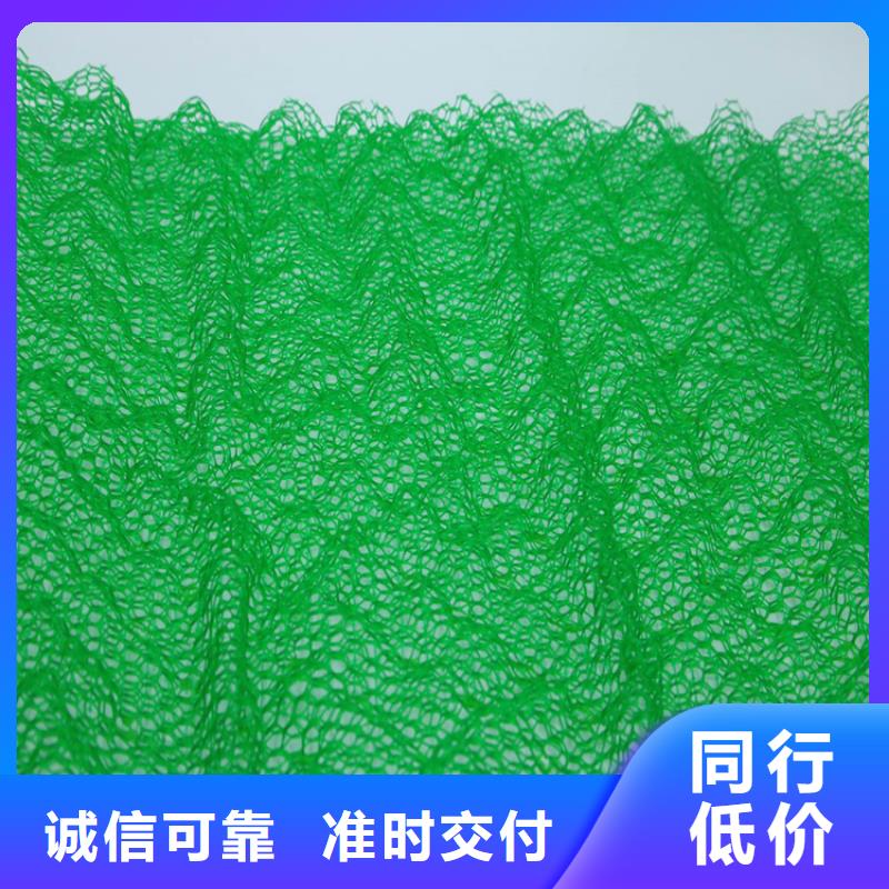 三维加筋网垫-加筋三维土工网垫