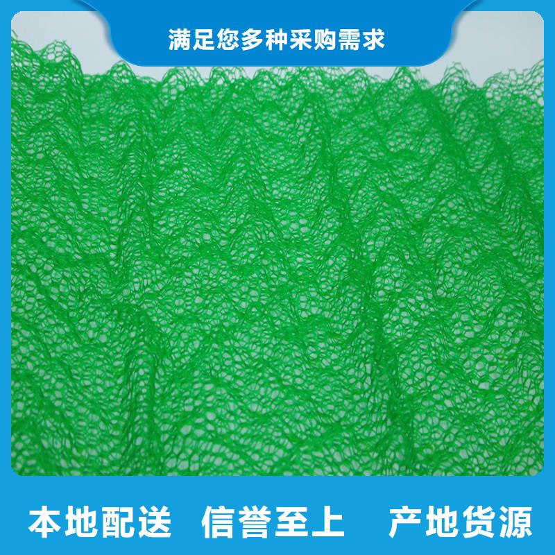 三维植草网垫塑料固土