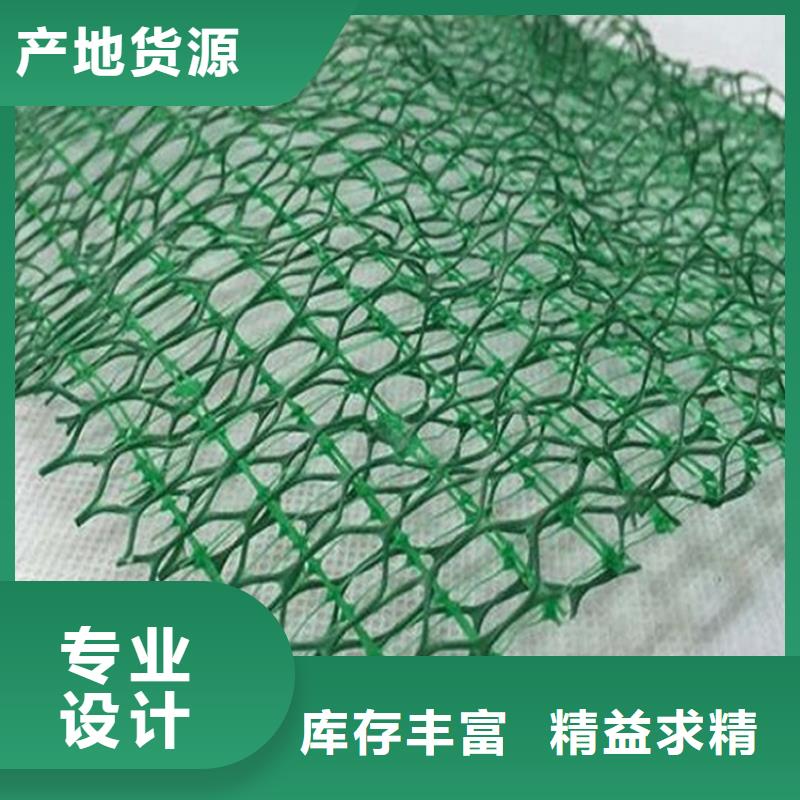 EM3三维土工网垫-加筋三维植被网