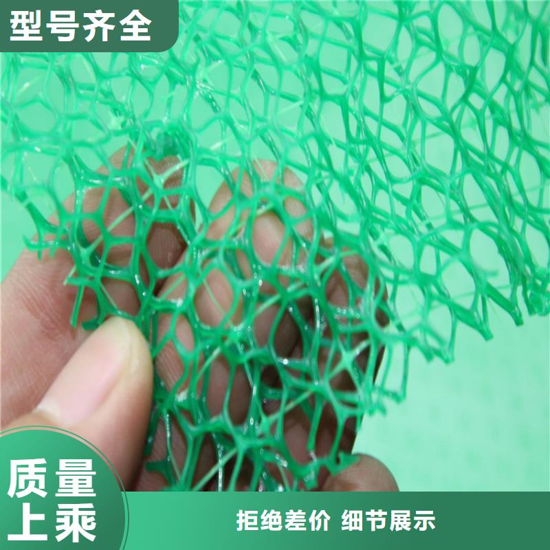 三维植被网-EM3三维固土网垫