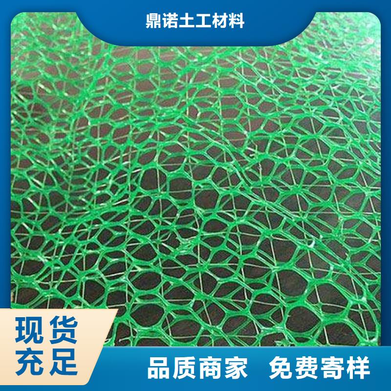 EM3三维土工网垫-加筋三维植被网