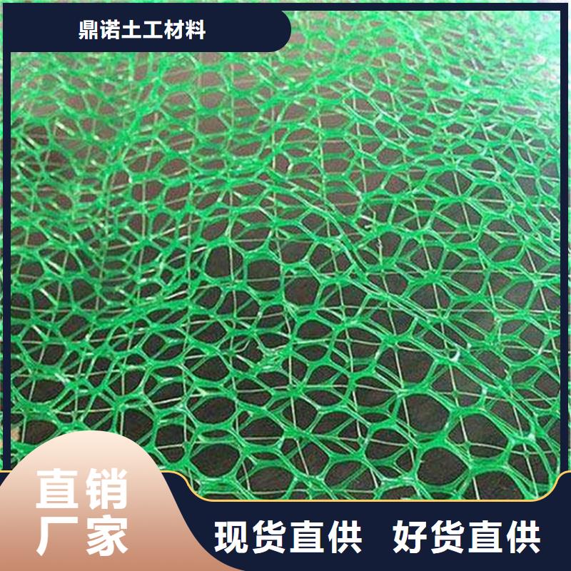 EM3三维土工网垫-绿色三维植被网
