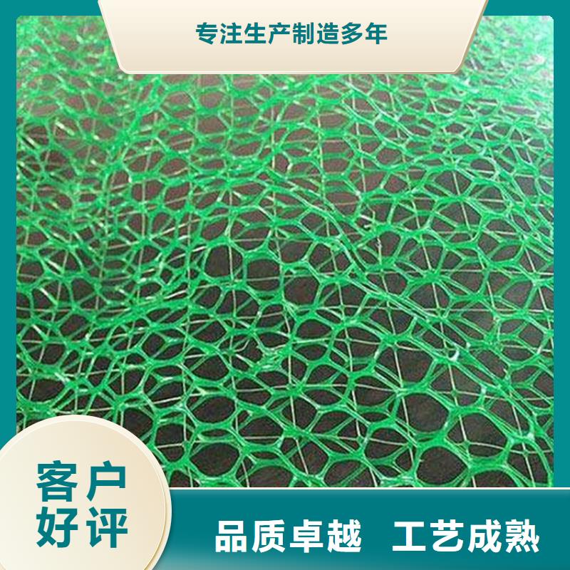 三维土工网垫护坡塑料