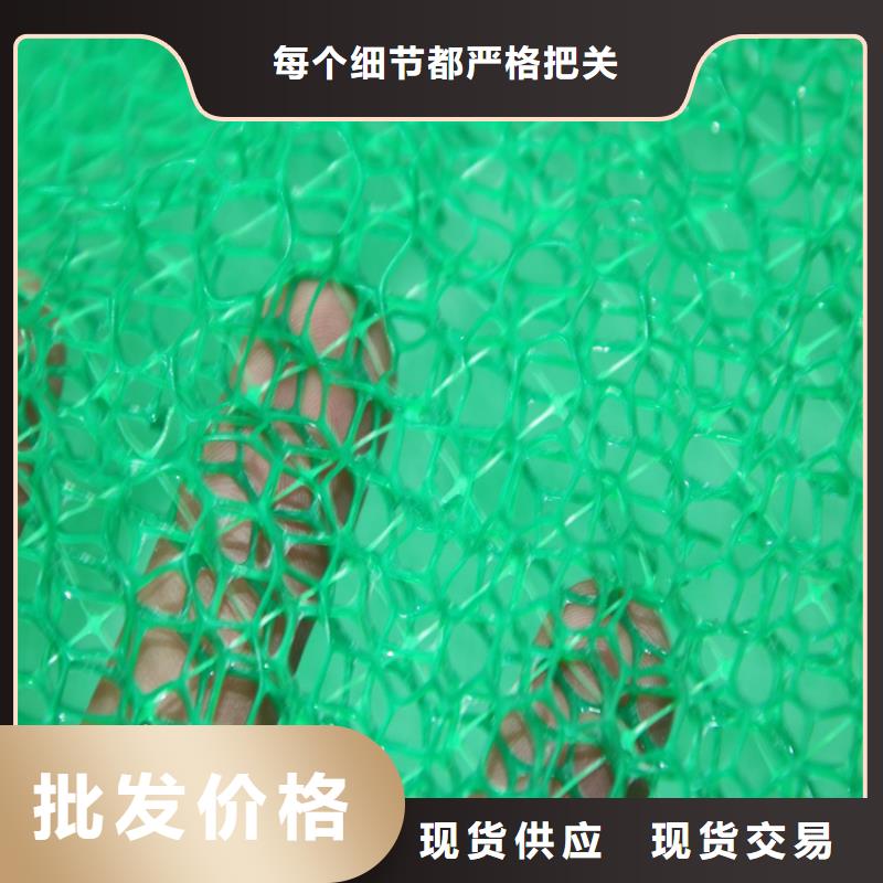 三维土工网垫-三维加筋网垫