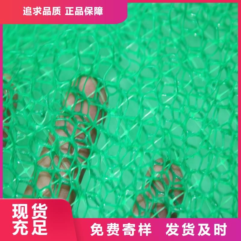 三维植草网垫EM4塑料