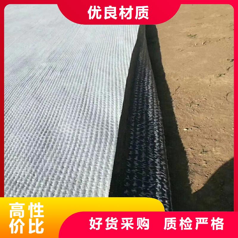 膨润土防水毯网格布产地厂家直销