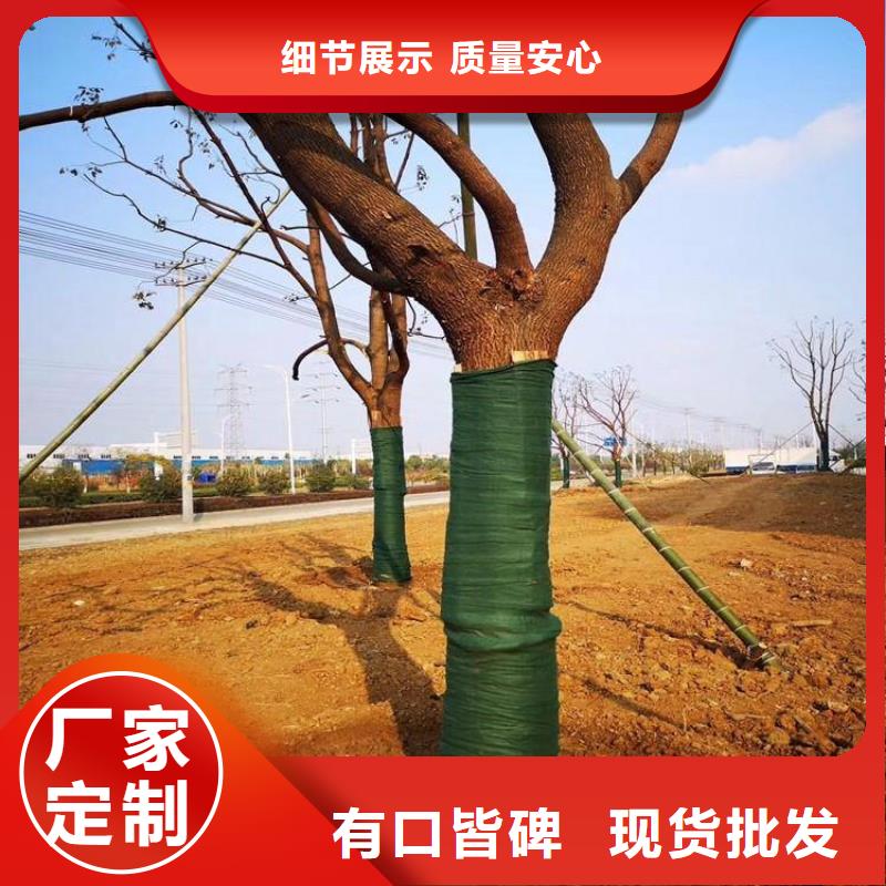 裹树布_土工材料种类多质量好