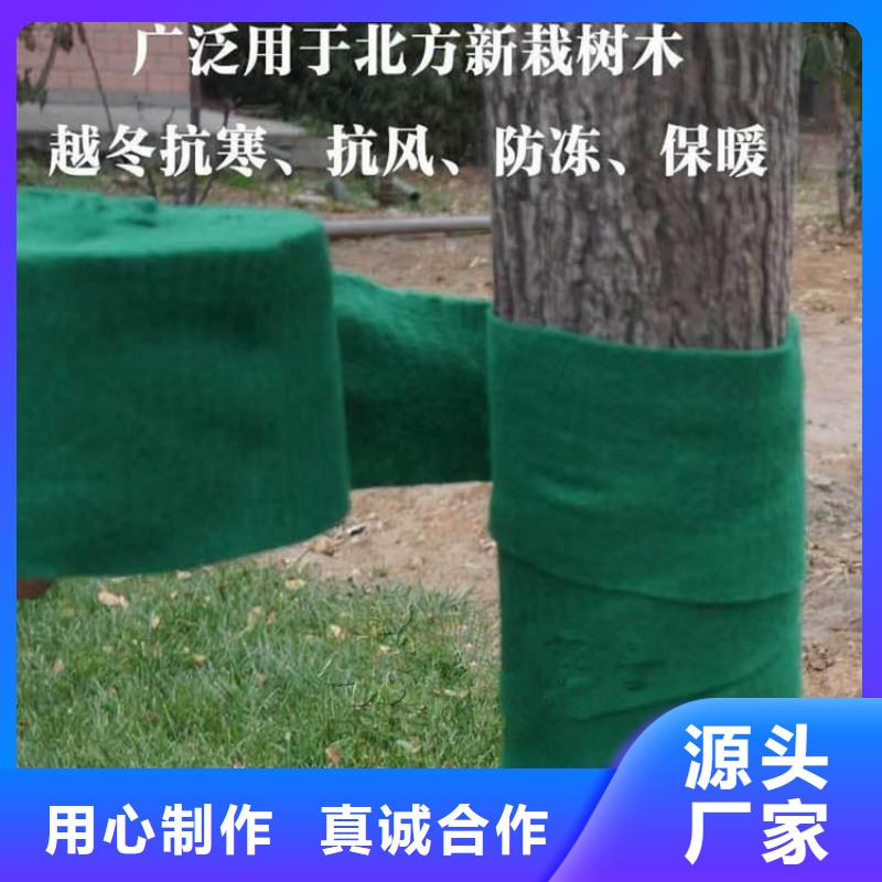 裹树布【双向塑料土工格栅】买的放心安兴用的舒心