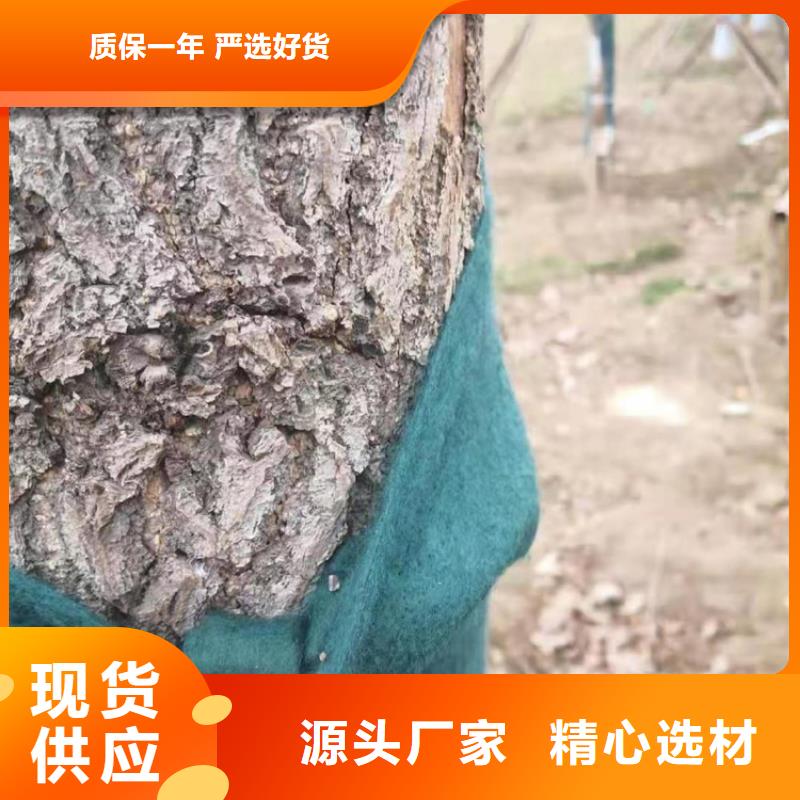 裹树布 【HDPE土工膜】价格低