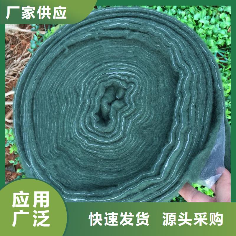 裹树布 【HDPE土工膜】价格低