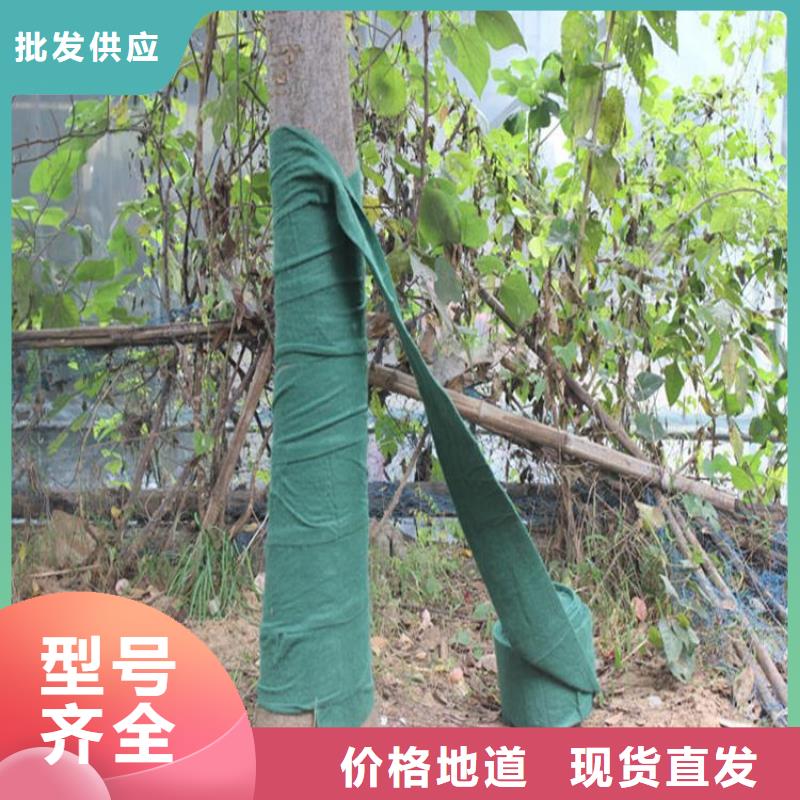 宁波买【裹树布】玻璃纤维土工格栅厂家型号齐全