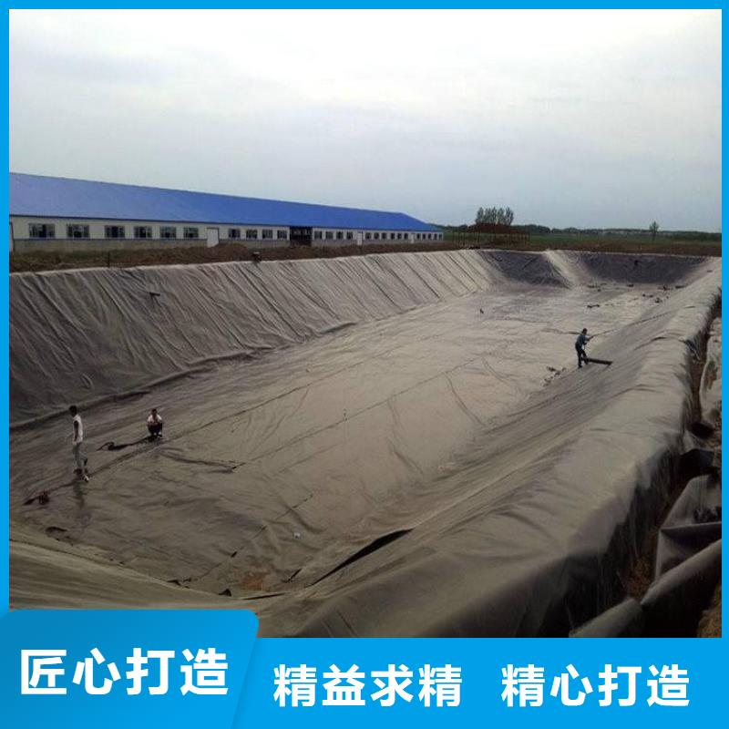 【 土工膜 聚酯玻纤布库存量大】 中齐建材(鞍山市分公司)