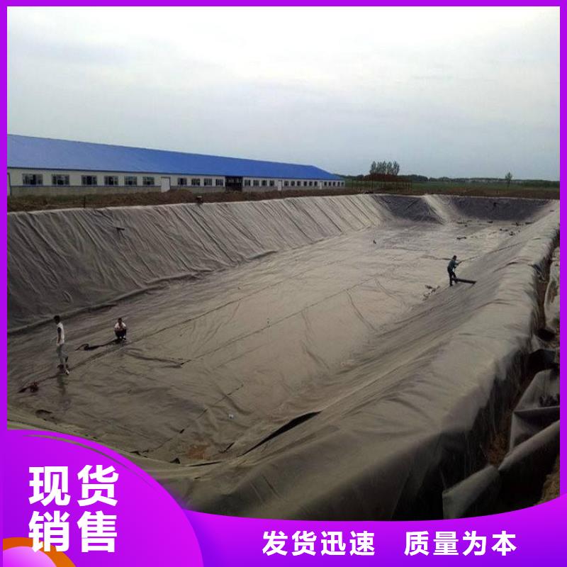 HDPE防渗膜-1.0mm土工膜资讯详情