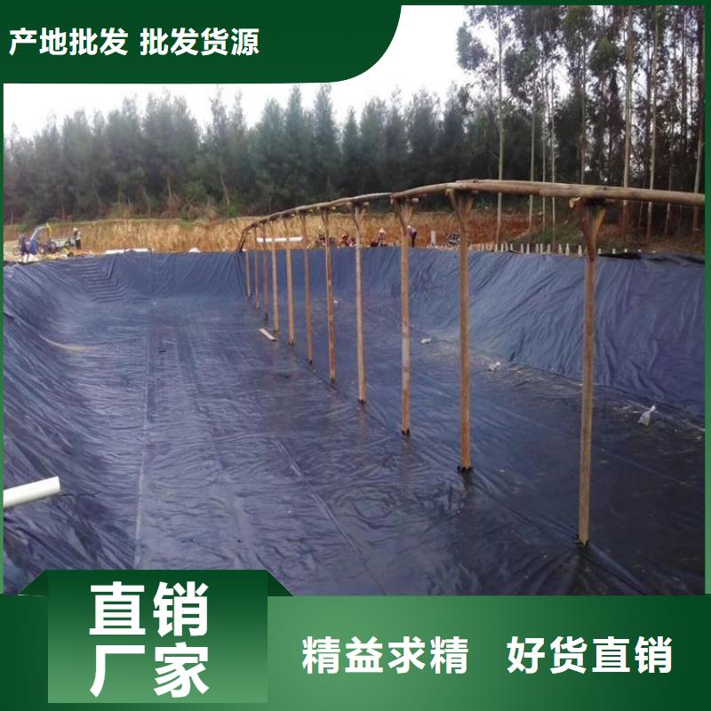 土工膜_土工格栅大厂生产品质