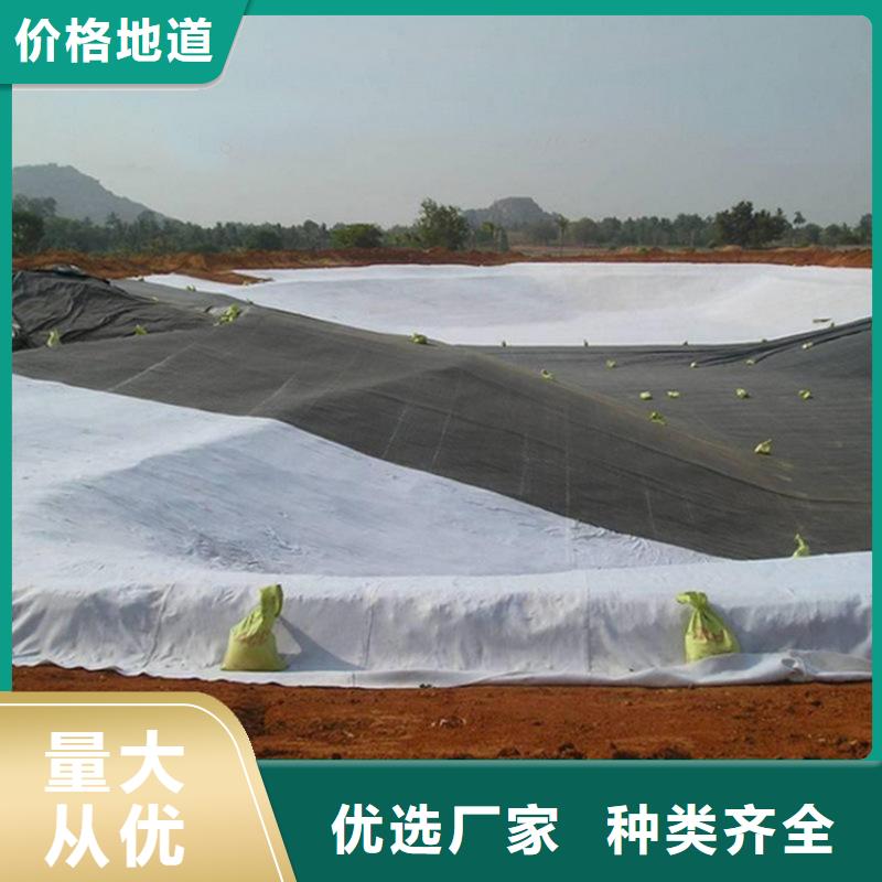 HDPE土工膜经销