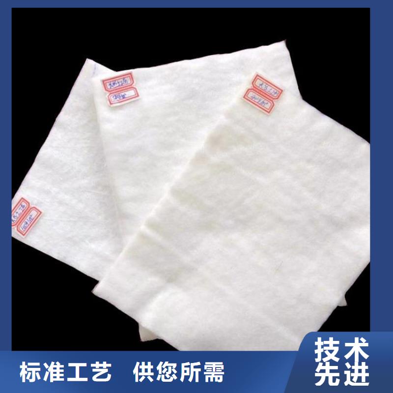 【 土工布,防渗膜认准大品牌厂家】当地品牌