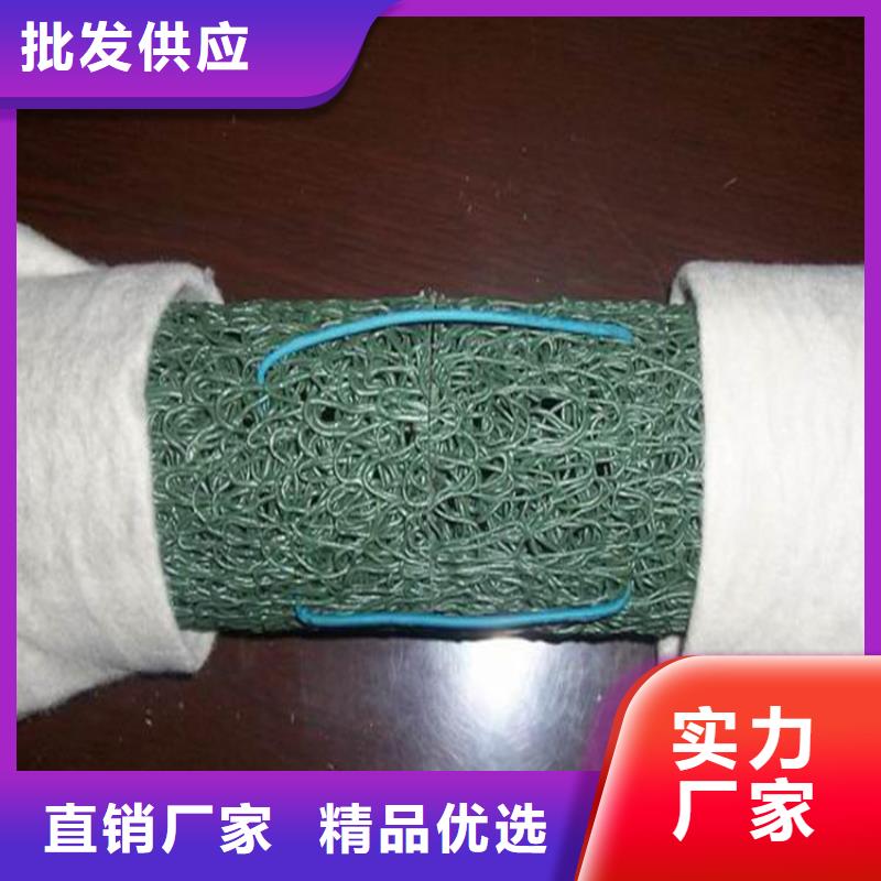 【塑料盲沟】-HDPE土工膜实力厂家直销