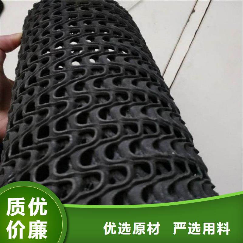 硬式透水管双向土工格栅生产加工