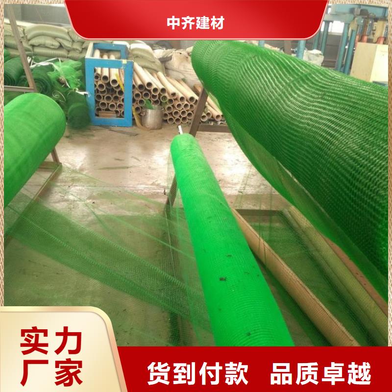 三维土工网垫-三维固土网垫厂家供应