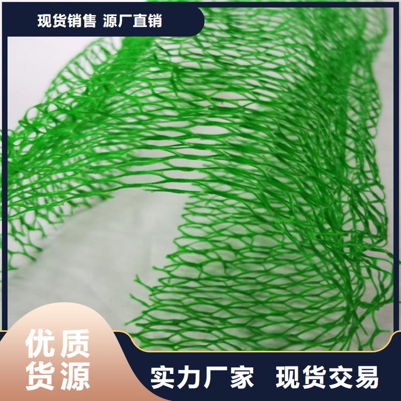 三维植被网HDPE土工膜一站式采购