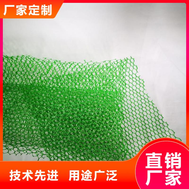 三维植被网HDPE土工膜信誉有保证