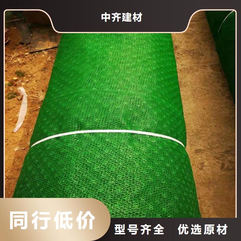 三维植草护坡网垫-三维网垫