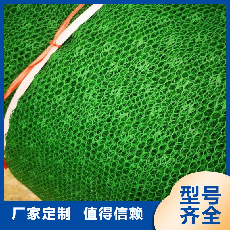 护坡加筋网垫-护坡三维土工网垫