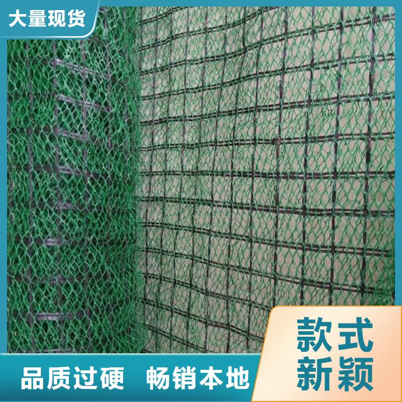 三维植被网-防渗膜现货采购