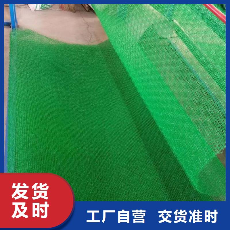 三维植被网机织布甄选好物