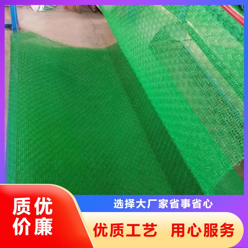 三维植被网,HDPE土工膜好货采购
