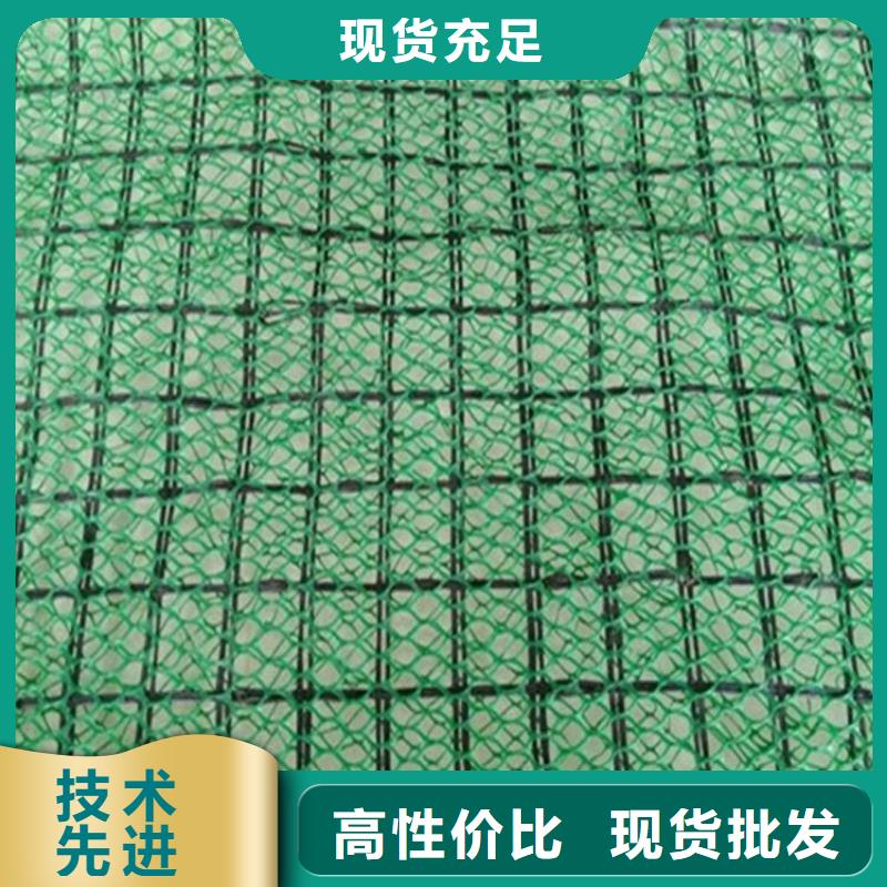 【 三维植被网,通风降噪丝网好厂家有担当】中齐土工格栅