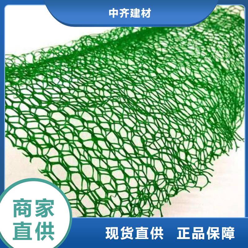 三维固土网垫#EM4边坡