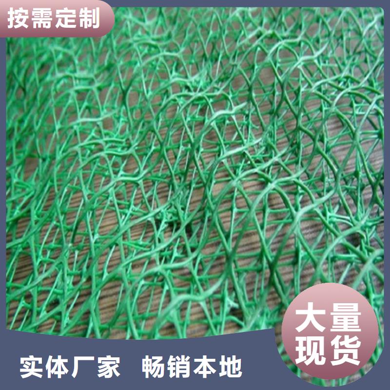 固土边坡三维土工网垫