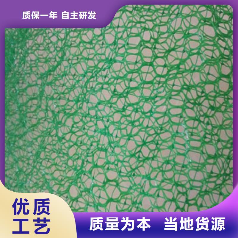 草皮边坡三维加筋土工网垫