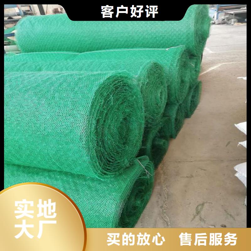 加筋护坡网垫#固土护坡