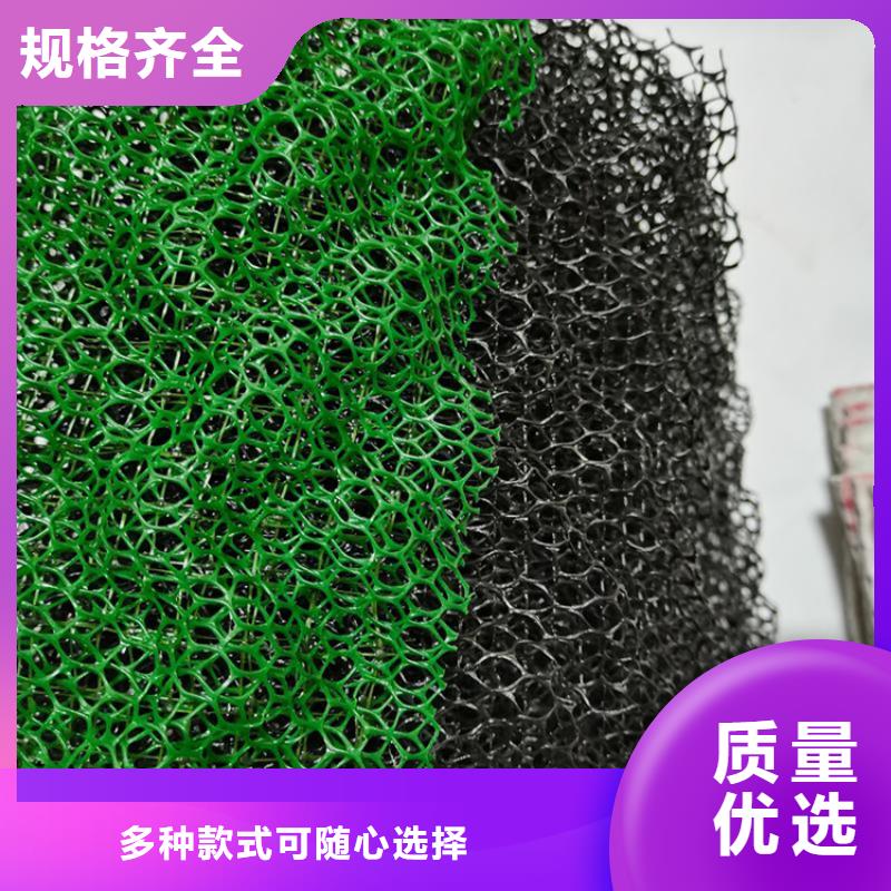 三维土工网垫价格优惠