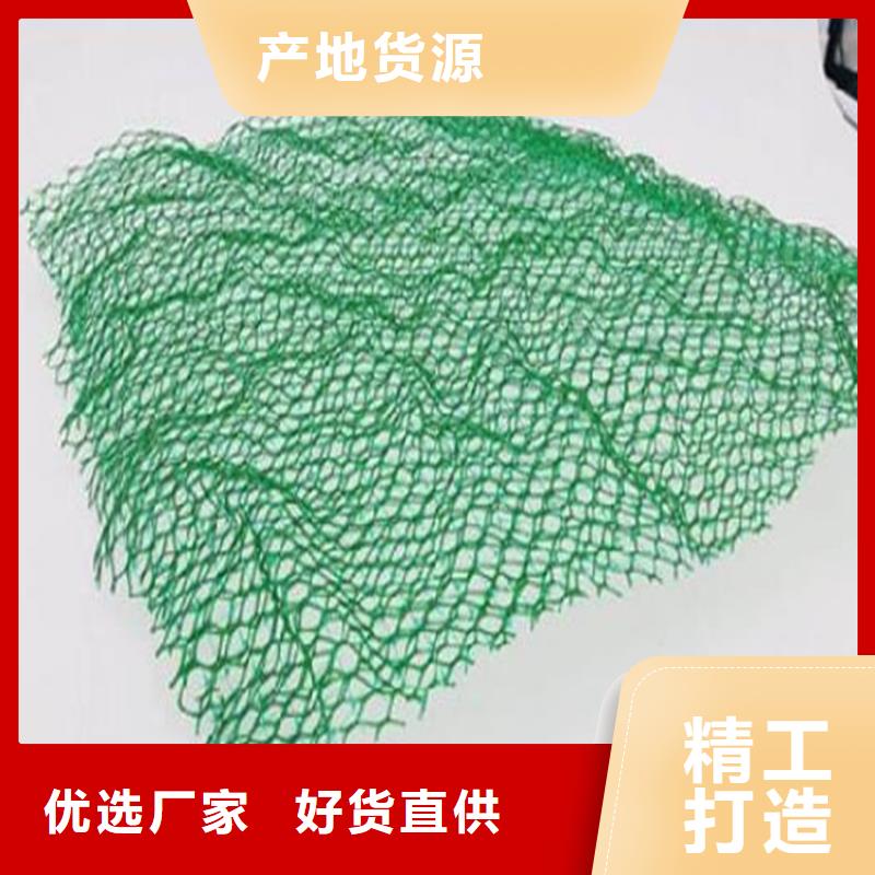 三维植被网,钢塑格栅好货采购
