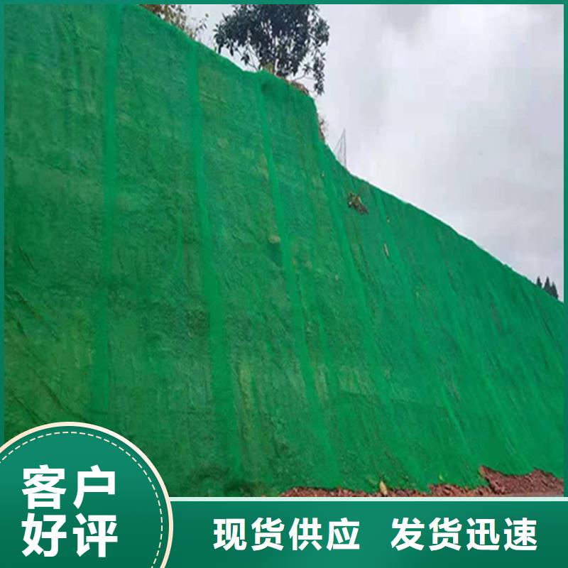 草皮边坡三维加筋土工网垫
